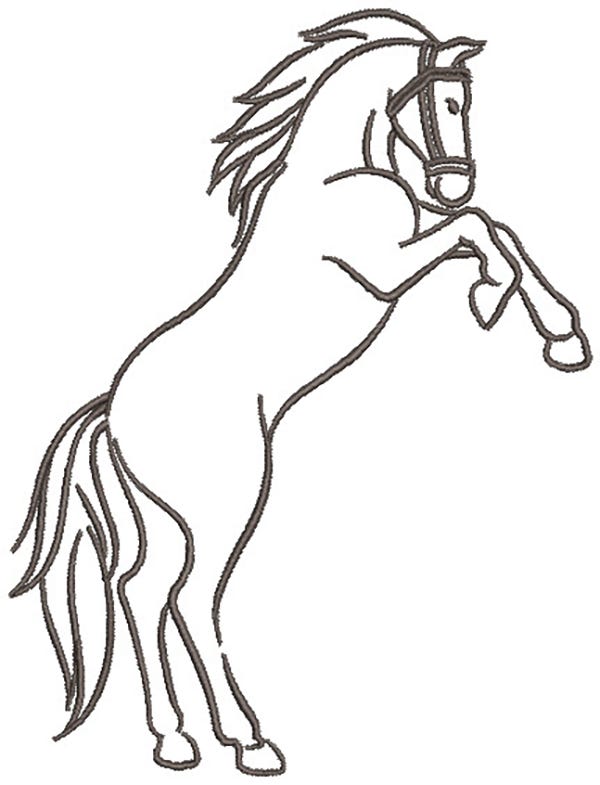Horse Sketches Machine Embroidery Designs by JuJu