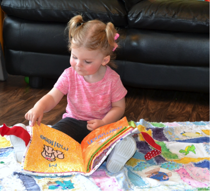 reading - Embroidered Fabric Doggie Book